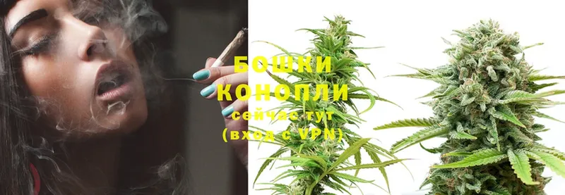 Конопля THC 21%  Богородицк 